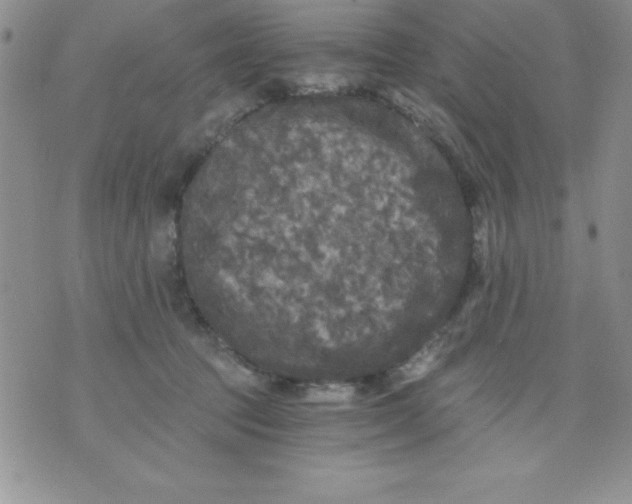 X0000071330369200607141911