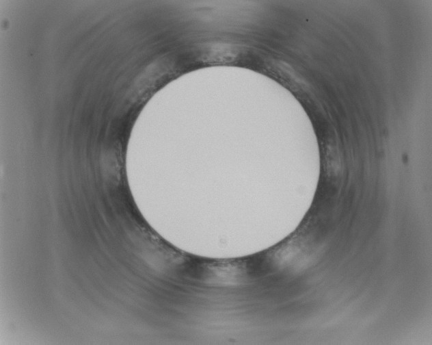 X0000071330370200607141911