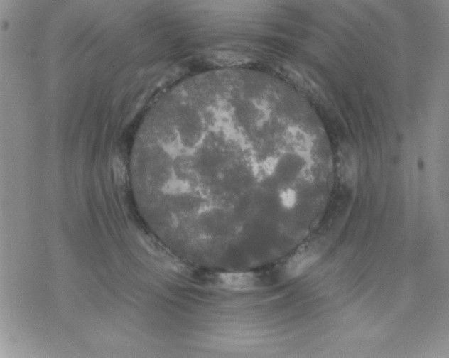 X0000071330371200607141911