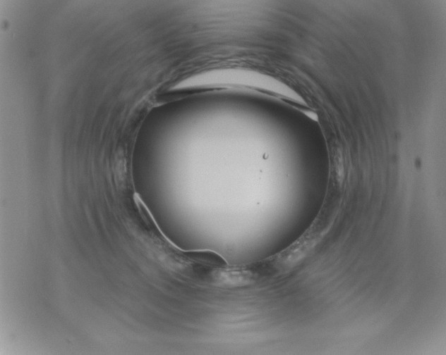 X0000071330372200607141911