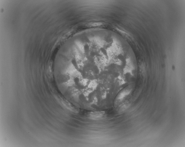 X0000071330373200607141911