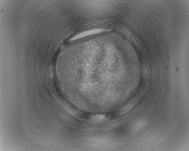 X0000071330374200607141911