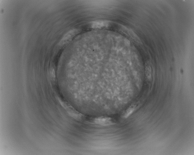 X0000071330375200607141911