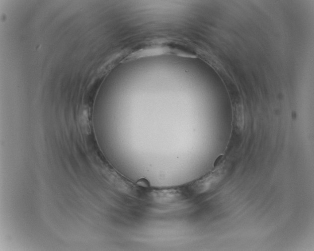 X0000071330378200607141911