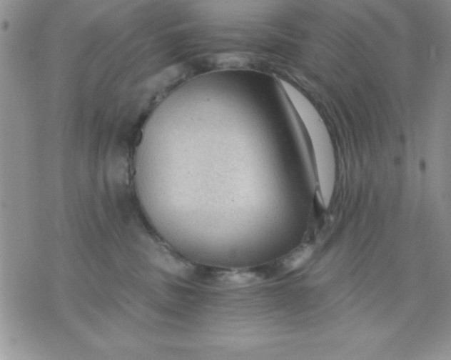 X0000071330379200607141911