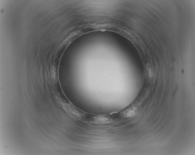 X0000071330380200607141911