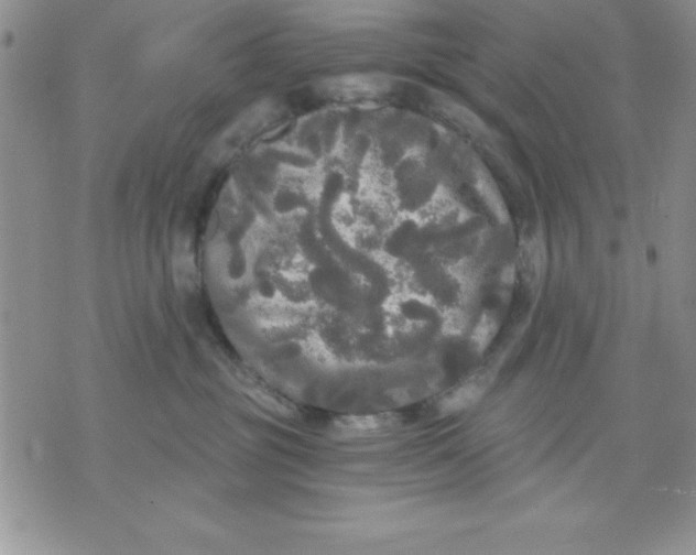 X0000071330381200607141911