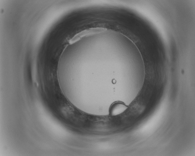 X0000071330382200607141912