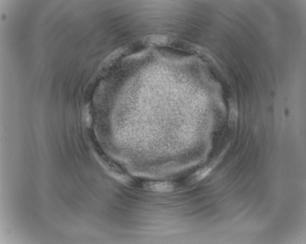 X0000071330383200607141912