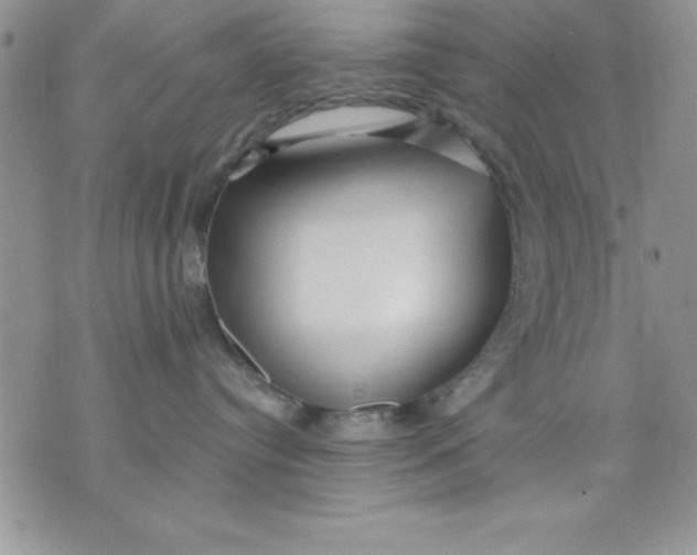 X0000071330384200607141912