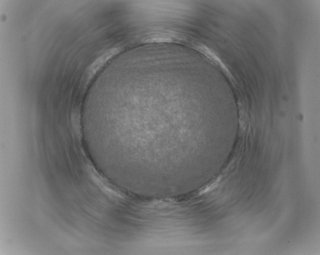 X0000071330386200607141911