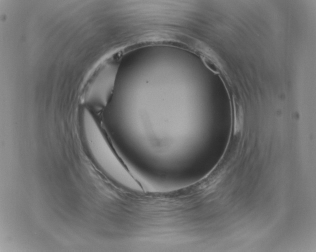 X0000071330387200607141911