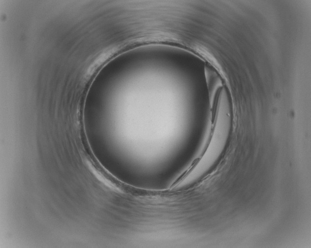 X0000071330389200607141911