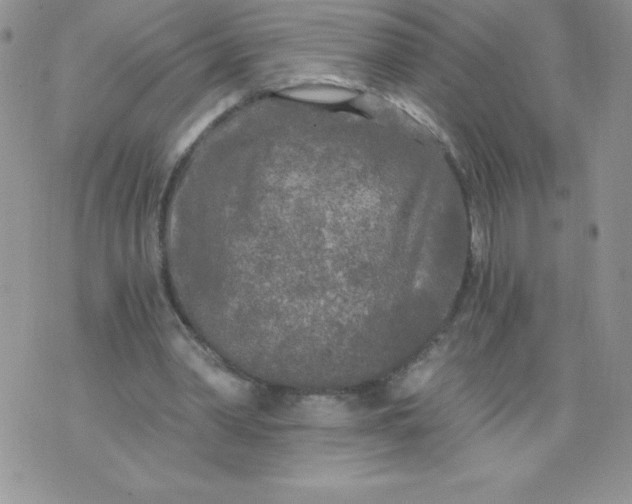 X0000071330390200607141911