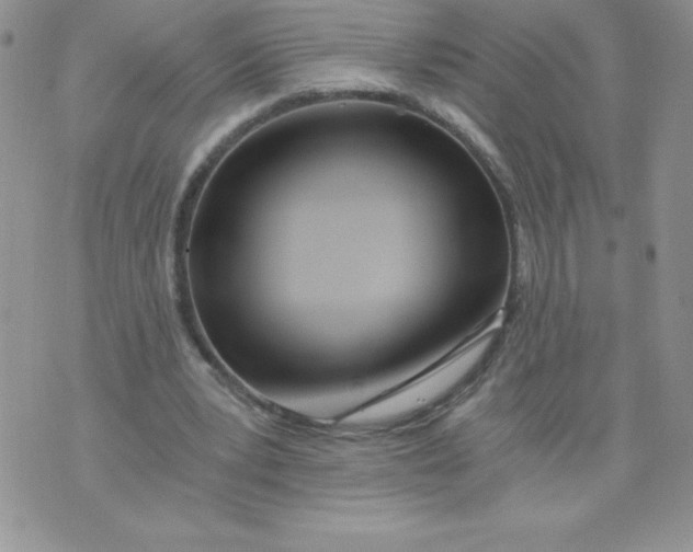 X0000071330391200607141911