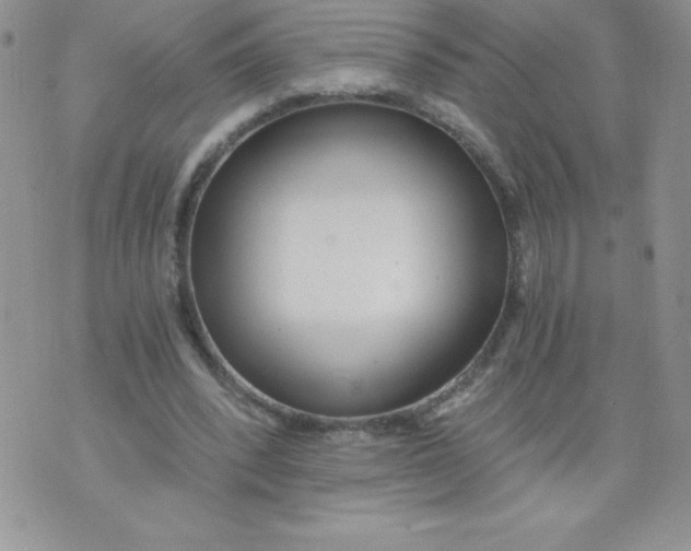 X0000071330392200607141911