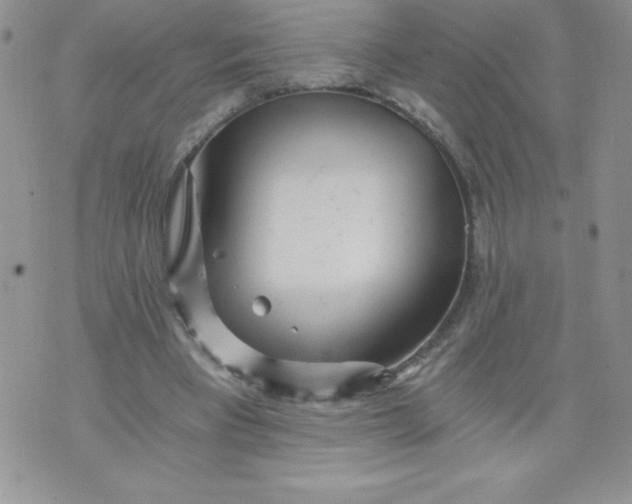 X0000071330393200607141911