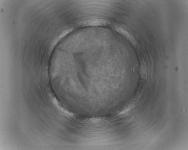 X0000071330394200607141911