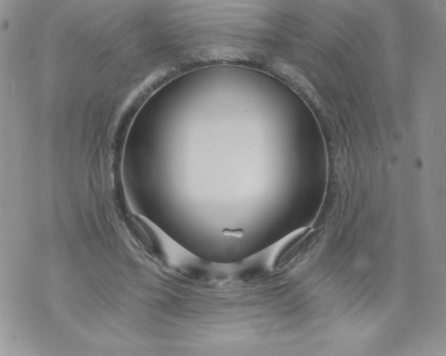 X0000071330395200607141911