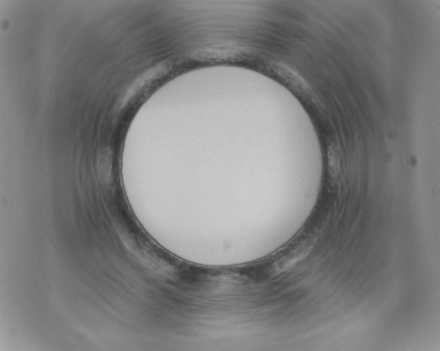 X0000071330396200607141911