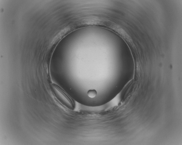 X0000071330397200607141911