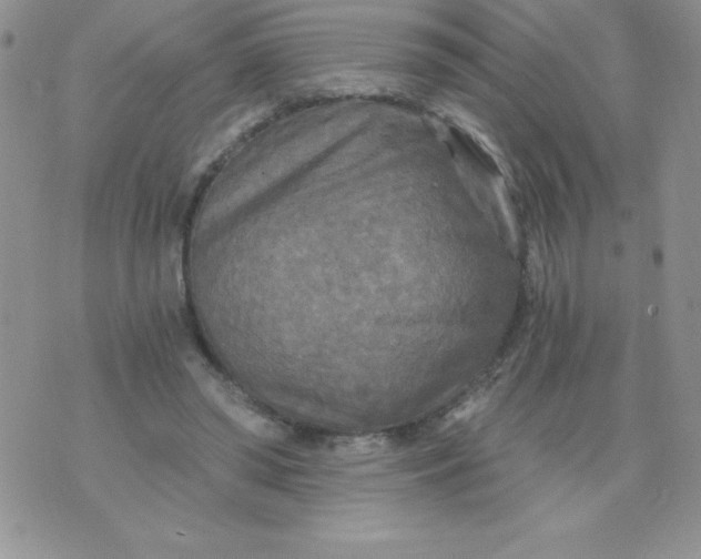 X0000071330398200607141911