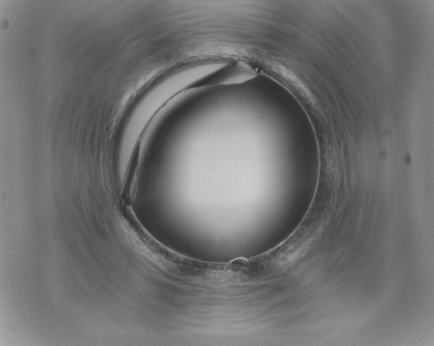 X0000071330399200607141911