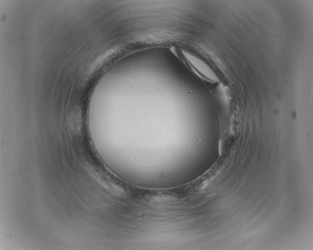 X0000071330400200607141911