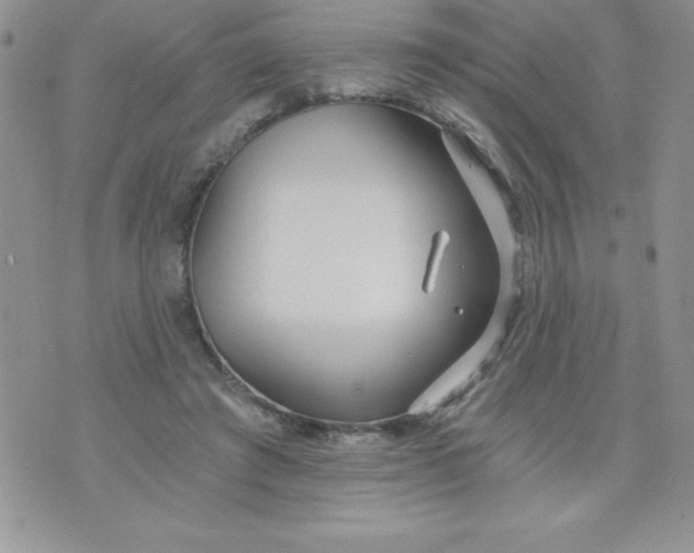 X0000071330401200607141911