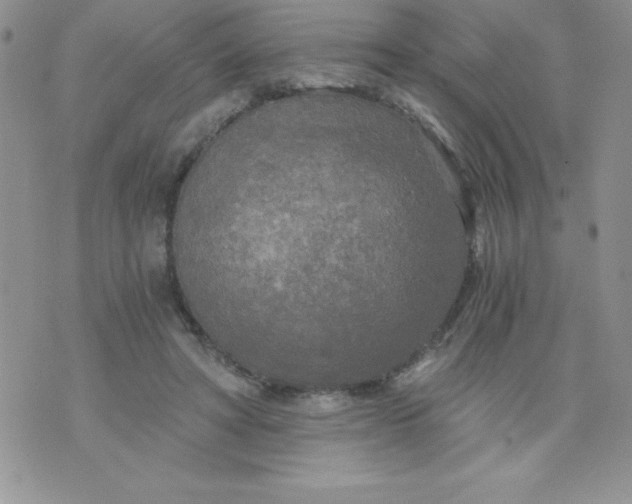 X0000071330402200607141910