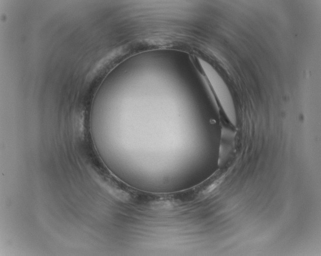 X0000071330404200607141910