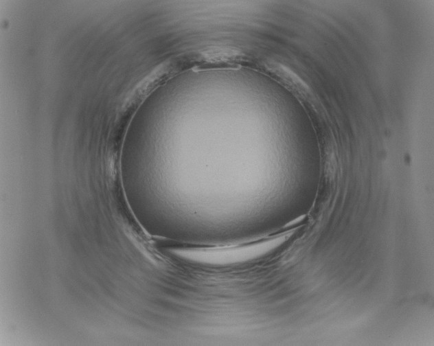 X0000071330405200607141910