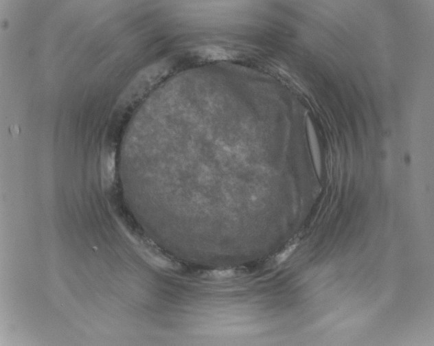 X0000071330406200607141910