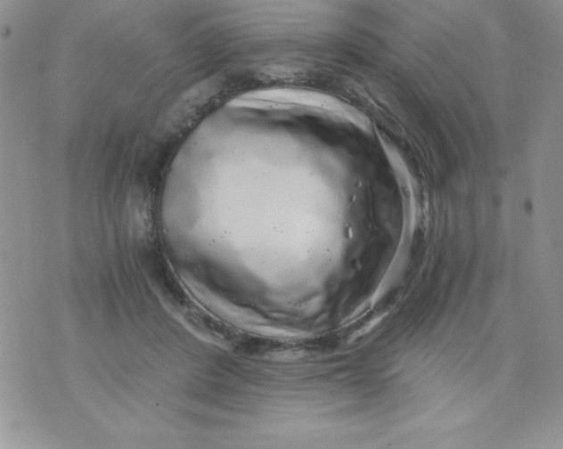 X0000071330408200607141910