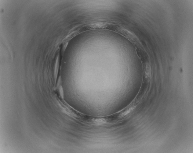 X0000071330409200607141910