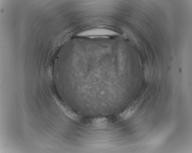 X0000071330410200607141910