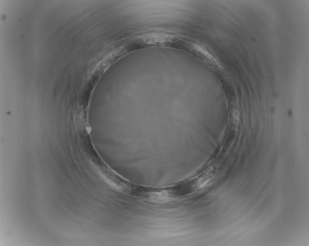 X0000071330411200607141910