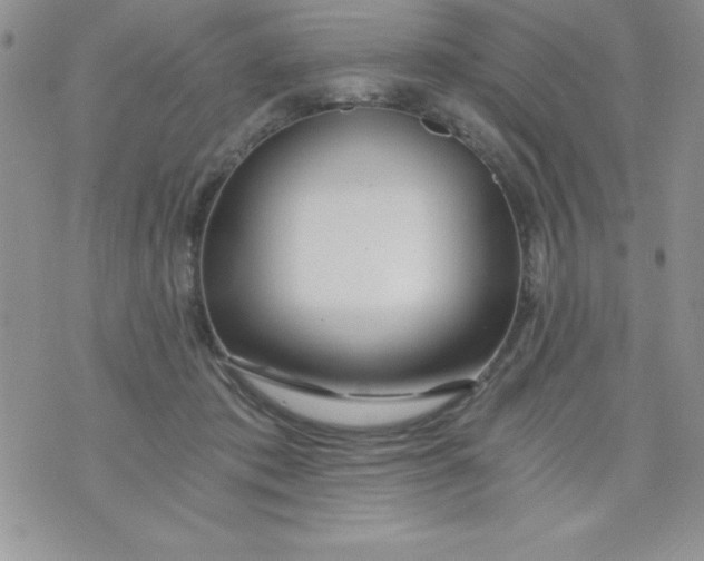 X0000071330413200607141910