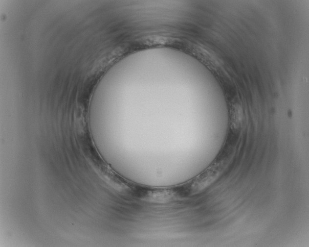 X0000071330414200607141910