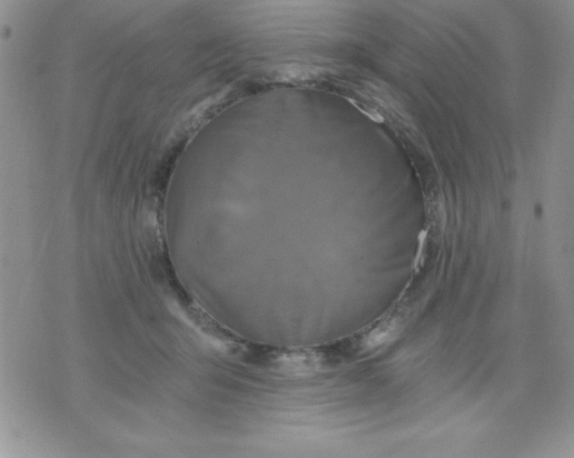 X0000071330415200607141910