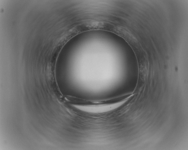 X0000071330416200607141910