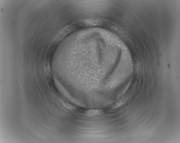 X0000071330418200607141910