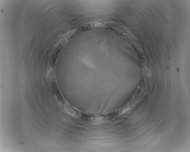 X0000071330419200607141910