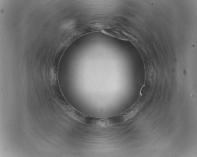 X0000071330420200607141910