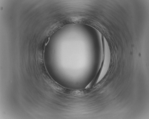 X0000071330421200607141910