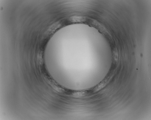 X0000071330422200607141910