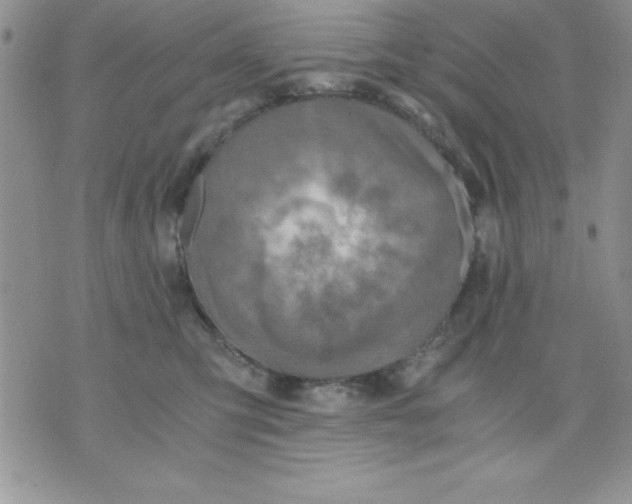 X0000071330423200607141910