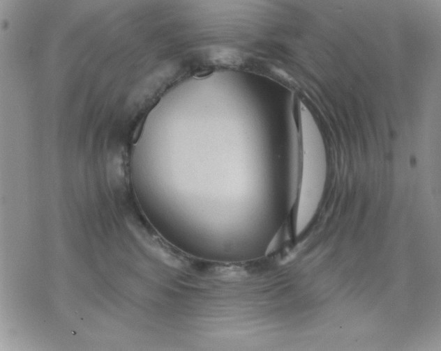 X0000071330424200607141910