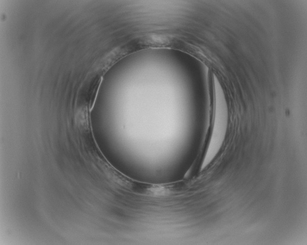 X0000071330425200607141910