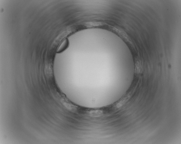 X0000071330426200607141910